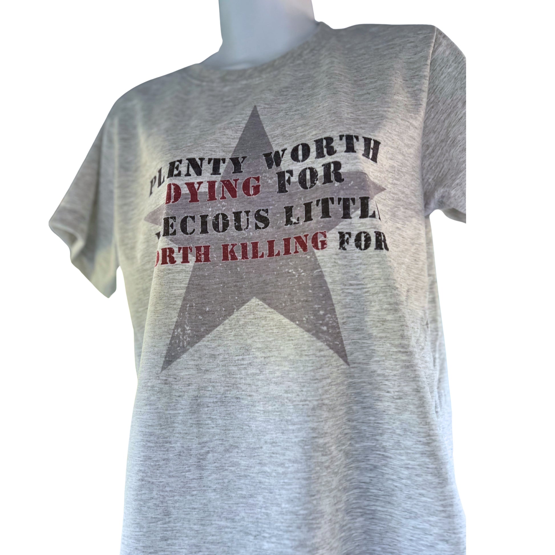 Gray T-shirt reading “Plenty Worth Dying For, Precious Little Worth Killing For” with large faded black star, displayed on mannequin against white background.